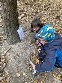 ŠD - Dýňová stezka - obrázek číslo: 8