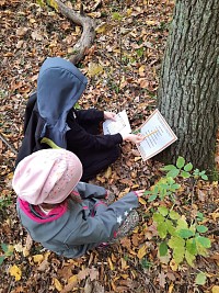 ŠD - Dýňová stezka - obrázek číslo: 9