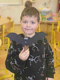 ŠD - netopýři z šišek - obrázek číslo: 4