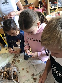 ŠD - pečení šrůdlu - obrázek číslo: 12