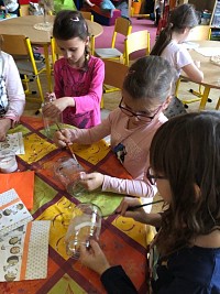 ŠD - podzimní lucerničky - obrázek číslo: 5