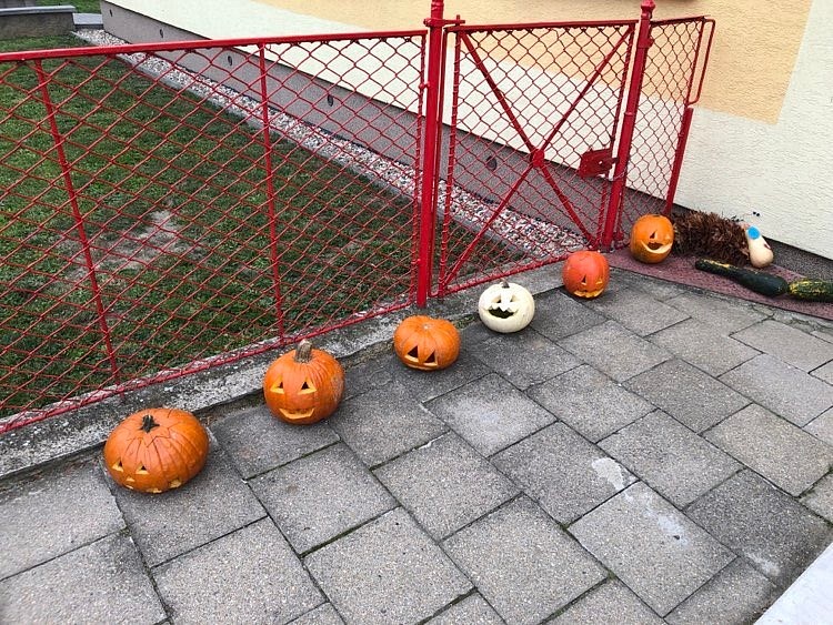 ŠD - dlabání dýní - obrázek: 309412086_639484431047521_3024321415291880342_n.jpg