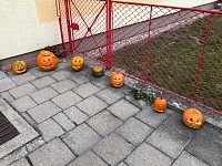 ŠD - dlabání dýní - obrázek číslo: 2