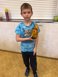 ŠD - dlabání dýní - obrázek číslo: 3