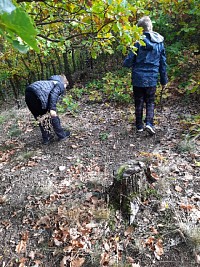 Za skřítky do lesa - 2.a 3.třída - obrázek číslo: 9