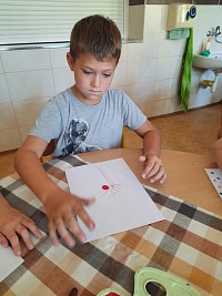 ŠD - podzimní stromy - obrázek číslo: 10