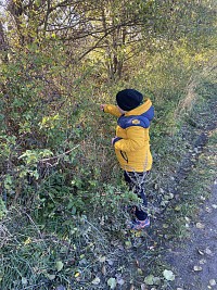 ŠD - sběr šípků - obrázek číslo: 2