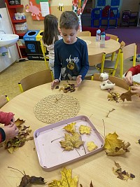 ŠD - pavouci ze sušených listů - obrázek číslo: 10