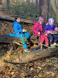 ŠD - Krmení zvířátek v lese - obrázek číslo: 2