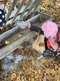 ŠD - Krmení zvířátek v lese - obrázek číslo: 3