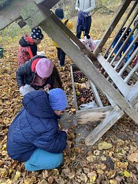 ŠD - Krmení zvířátek v lese - obrázek číslo: 9
