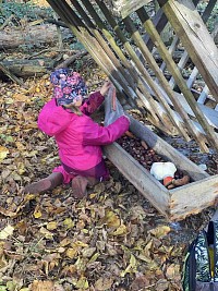 ŠD - Krmení zvířátek v lese - obrázek číslo: 11