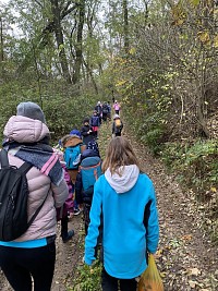 ŠD - Krmení zvířátek v lese - obrázek číslo: 2