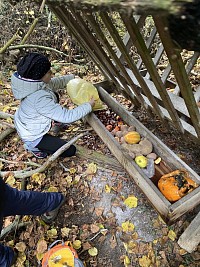 ŠD - Krmení zvířátek v lese - obrázek číslo: 3