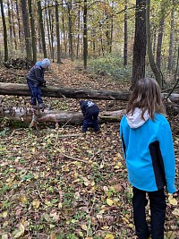 ŠD - Krmení zvířátek v lese - obrázek číslo: 4