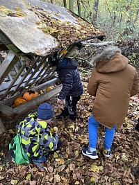 ŠD - Krmení zvířátek v lese - obrázek číslo: 7