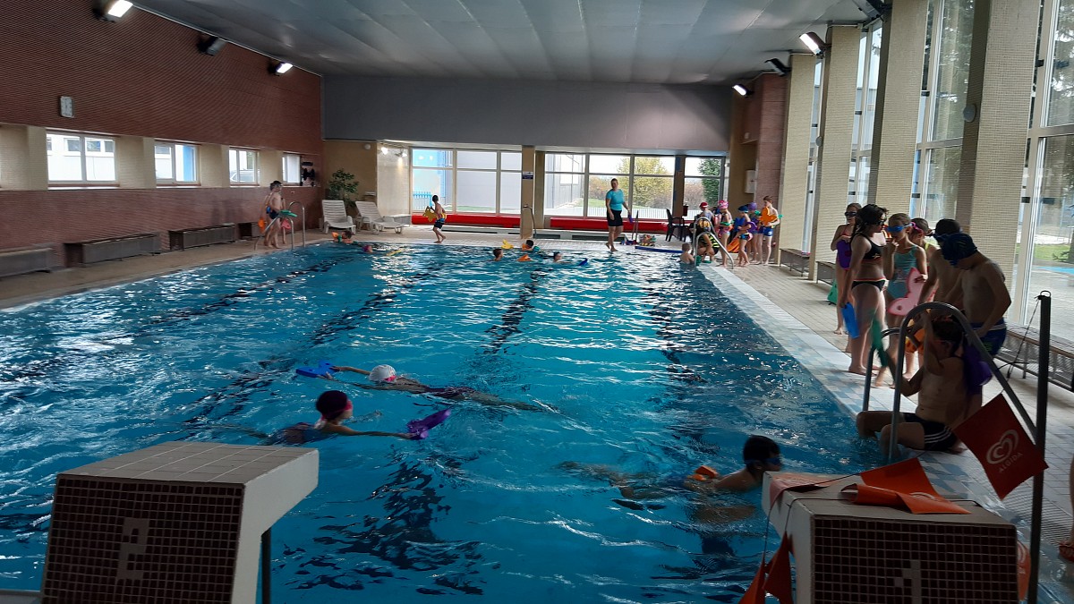 Plavecký výcvik - obrázek: 002.jpg