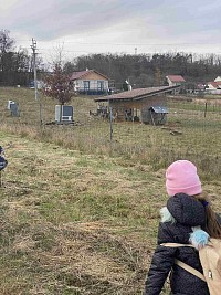 ŠD - výlet do dančí obory a návštěva cukrárny - obrázek číslo: 2