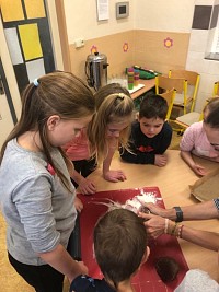 ŠD - pečeme perníčky - obrázek číslo: 17