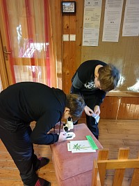 Pásl ovčák ovce - obrázek číslo: 46