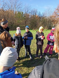Pásl ovčák ovce - obrázek číslo: 47