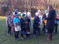Pásl ovčák ovce - obrázek číslo: 14