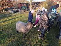 Pásl ovčák ovce - obrázek číslo: 6