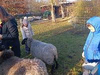 Pásl ovčák ovce - obrázek číslo: 7