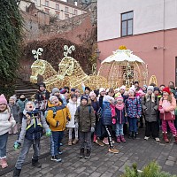Filharmonie Brno - obrázek číslo: 8