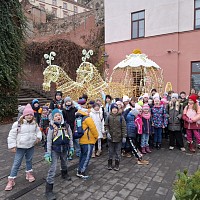 Filharmonie Brno - obrázek číslo: 9