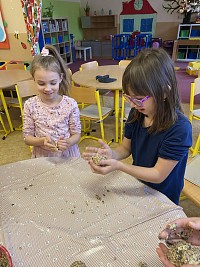 ŠD - výroba semínkových koulí pro ptáčky - obrázek číslo: 2