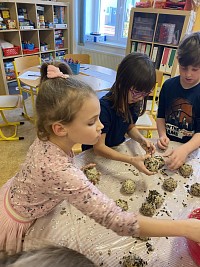 ŠD - výroba semínkových koulí pro ptáčky - obrázek číslo: 13