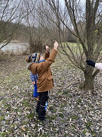 ŠD - Krmení ptáčků na Biocentru - obrázek číslo: 9