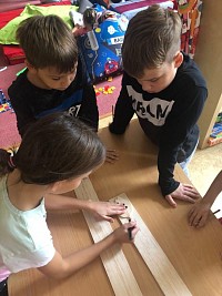ŠD - polytechnika - podzimní listy - obrázek číslo: 1