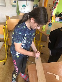 ŠD - polytechnika - podzimní listy - obrázek číslo: 13