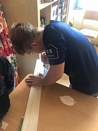 ŠD - polytechnika - podzimní listy - obrázek číslo: 16