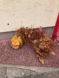 ŠD - housenky z listí a dýní - obrázek číslo: 1