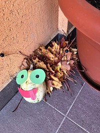 ŠD - housenky z listí a dýní - obrázek číslo: 8