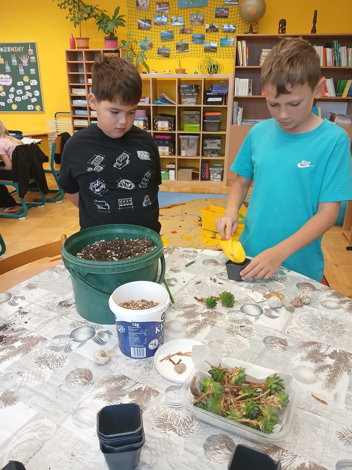 Laboratorní práce v přírodovědě 4.-5. ročník - obrázek: img-20250918-wa0000.jpg