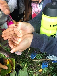 ŠD - vycházka na Bio centrum - obrázek číslo: 4