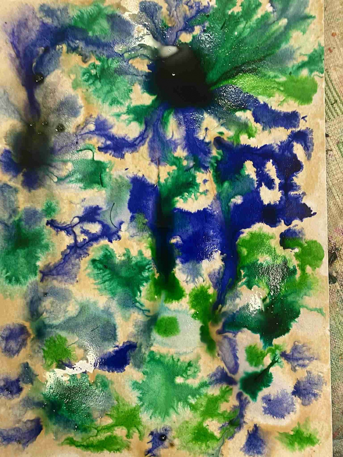 ŠD - zapouštění anilinek do klovatiny - obrázek: 1.jpg