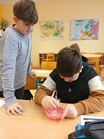 Přírodovědný pokus s vodou a solí - 4.-5. třída - obrázek číslo: 1