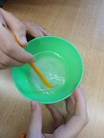 Přírodovědný pokus s vodou a solí - 4.-5. třída - obrázek číslo: 11