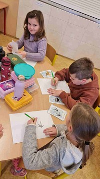 ŠD - zvířata v zimě, stopy zvířat - obrázek číslo: 10