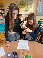 Hodina přírodovědy ve 4. a 5. třídě / zkoumání vlastnosti látek - obrázek číslo: 14