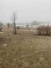 ŠD - po stopách zvířátek - obrázek číslo: 3