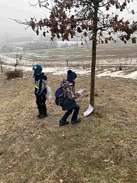 ŠD - po stopách zvířátek - obrázek číslo: 4