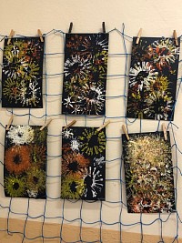 ŠD - Novoroční ohňostroj - obrázek číslo: 1