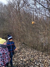 ŠD - krmení ptáčků v lese - obrázek číslo: 2