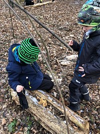 ŠD - krmení ptáčků v lese - obrázek číslo: 4